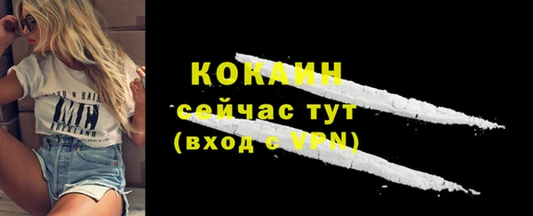 прущие грибы Володарск